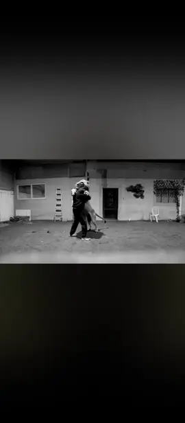 #حسن_الغامدي #البحث_عن_هجام 