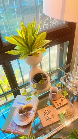 #عبدالكريم_عبدالقادر#اكسبلور#الشعب_الصيني_ماله_حل😂😂#fyp#foryoupage