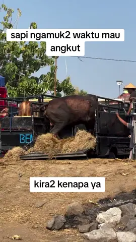 #ModalKontenDoang #SerunyaBelajar #DijaminCUAN #hiburan