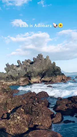 Ini Adonara, Flores Timur #adonara #watotenabeach #pantaimekoadonara #waiwuring #fyp 