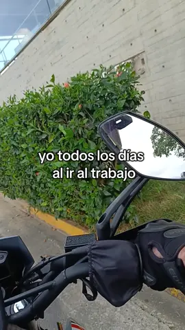 yo todos los días al ir al trabajó #trendingvideo #viral #trabajo #humor #tiktok 