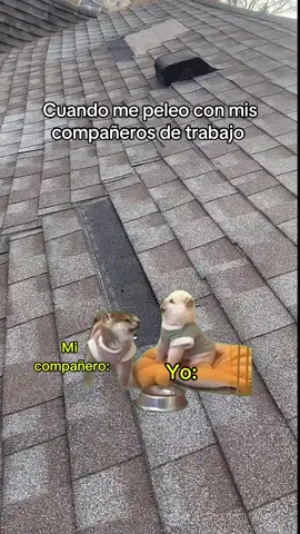 #CapCut cuando me peleo con mis compañeros de trabajo 