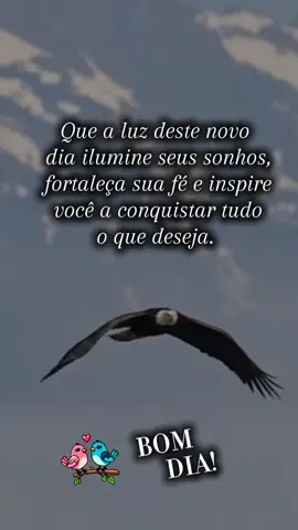 #CapCutMotivacional #CapCut 