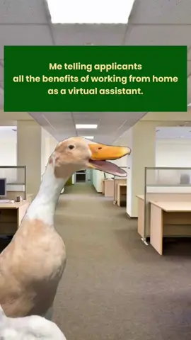spitting straight ✨FACTS✨ #WorkFromHomeJobs #VirtualAssistant #NoCommuteLife #RemoteLife 