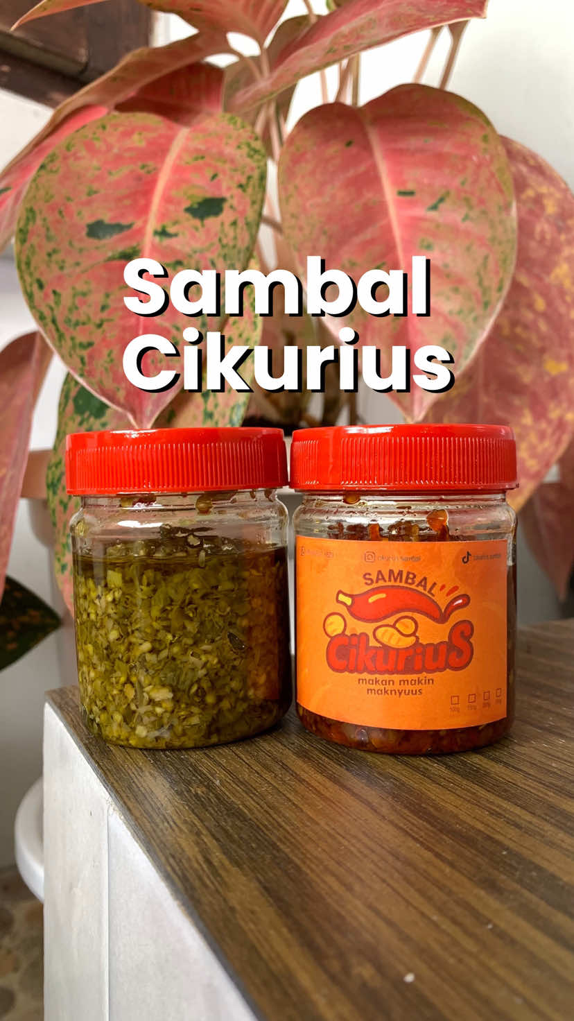 abis ini gerd kambuh karena anteng makan pake sambel taunya habis setengah sendirian🤣 tapi tenang aja dia homemade, pake bahan yg fresh dan no pengawet yupsss❤️ #fyp #sambalcikurius #kulinerbandung #mukbang #sambalgoreng 