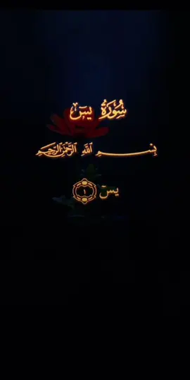 #راحه_نفسيه #قران_كريم 
