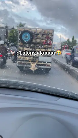 🐓 : Tolong akuu 😭😭😭 #lucu #videolucu #fyp #viral 