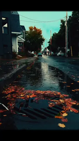 có những người làm tổn thương bạn nhưng không bao giờ xin lỗi #baihoccuocsong #trietlycuocsong #cauchuyencuocsong 