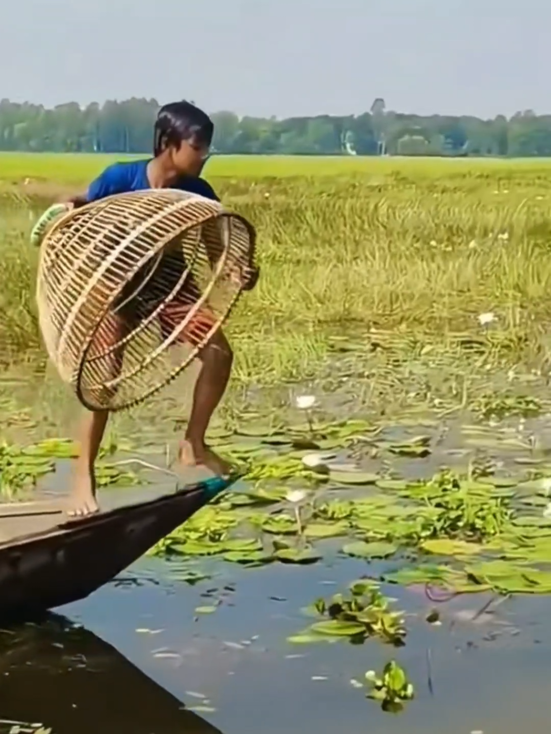 Cho Anh được về với quê Em! #scenery #countryside #longervideos 