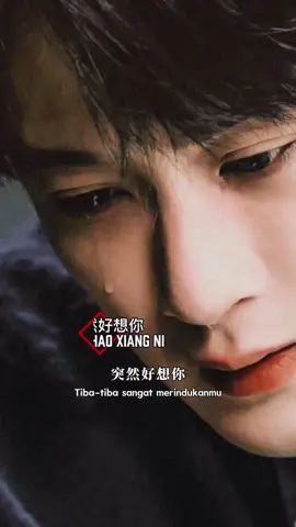 突然好想你 |Túrán hǎo xiǎng nǐ (Tiba tiba sangat merindukanmu)#mandarinsong  #lagumandarin #laguviral #fyppppppppppppppppppppppp 