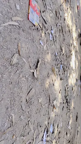 ❤️‍🔥aaj tu baru ashara dhara k❤️‍🔥#foryou #foryoupage #goviral #viralvideo #nepalitiktok @🙏Dipak Kushwaha 🙏 @@jitendra patel @💔💔 Särøj Kúshwàhä 💔💔 