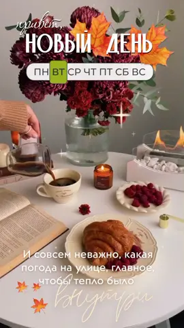 #доброе_утро☕️ #октябрь2025🍁🍂 #новаянеделя🍂🔥 #вторникутро 
