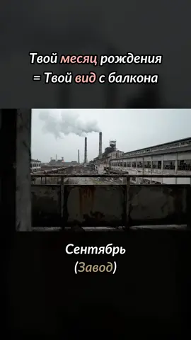 Какой твой вид? #вео3 #асмр #oddlysatisfyingvideo 