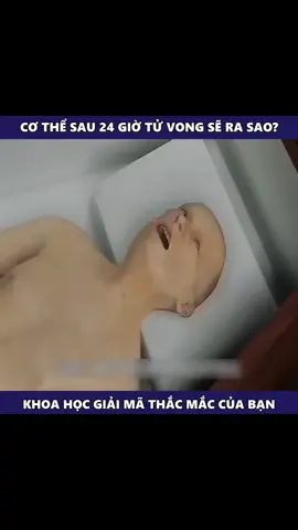 Các bạn biết chưa #LearnOnTikTok #fyp #xuhuong 