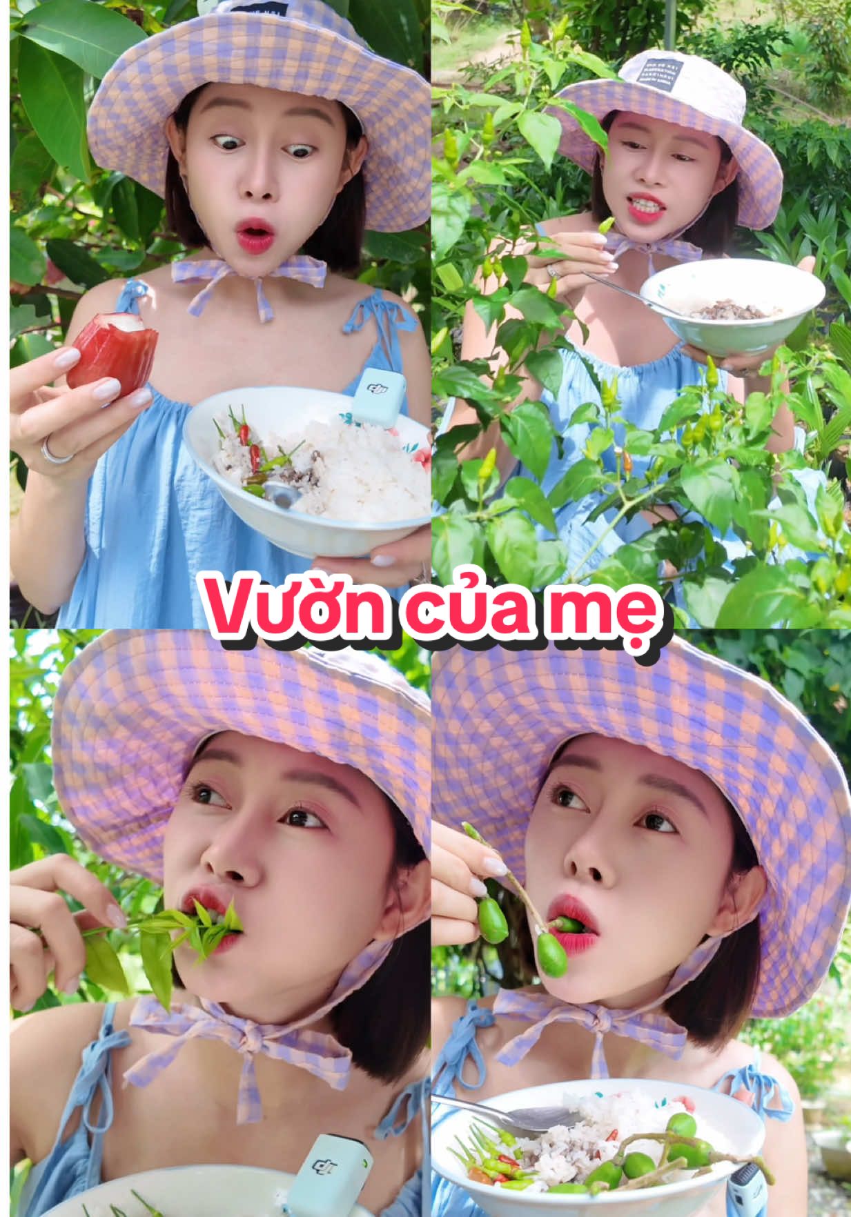 Cầm tô cơm ăn sạch vườn của mẹ 😆