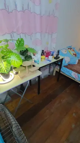 ตัวช่วยดีๆ ที่ไม่ควรพลาดสําหรับใครที่เป็นภูมิแพ้และแพ้ไรฝุ่น #สเปรย์กําจัดไรฝุ่น 