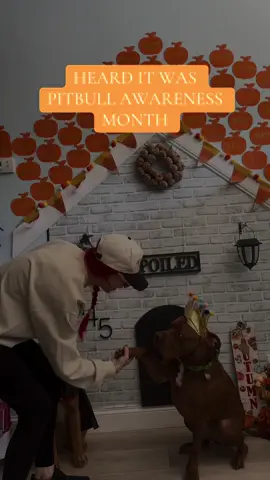 A WHOLE DANG MONTH FOR THE CUJOS 🤣🤍 Stay tuned for something special for the Pitties this month! 