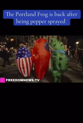 The Portland Frog has returned after ICE agents sprayed pepper spray into their suit #portlandfrog #portlandmusicfestival #abolishice 