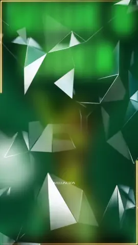 #palmeiras#avantipalestra 