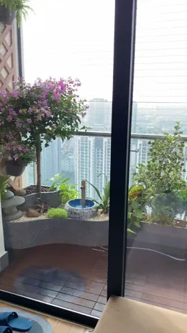 Setup Ban công mùa thu dịu nhẹ.  Em là tình đầu tiên...không thể quên.  #xuhuongtiktok #viral  #bancongsanvuonhanoi 