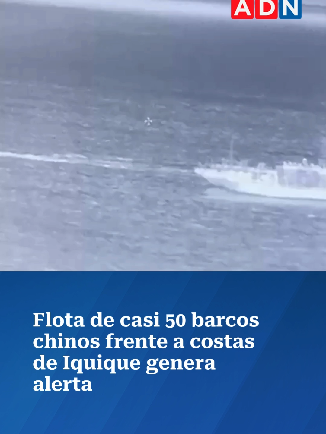 Preocupación existe entre los pescadores de Iquique, en la región de Tarapacá, por la presencia de una flota de origen chino compuesta por cerca de 50 embarcaciones que se mantienen frente a las costas del norte del país. Si bien las naves no realizan faenas dentro del mar territorial chileno, se ubican en una zona estratégica que, según denuncian los trabajadores del mar, estaría impidiendo el paso de especies hacia aguas nacionales. El fenómeno afecta particularmente la captura del calamar rojo o jibia, recurso clave para la pesca artesanal de la zona. Los trabajadores aseguran que su presencia ha reducido la disponibilidad del producto y que incluso existen registros audiovisuales que muestran la gran cantidad de buques concentrados en el sector. El gobernador marítimo de Iquique, Manuel Figueroa, explicó a Mega que las embarcaciones cuentan con autorización para fondear temporalmente. “Ellos llegan al puerto, fondean, no están más de 24 horas y posteriormente salen”, señaló, agregando que “la Armada realiza vigilancia oceánica para verificar que no estén pescando ni con lanzas en el mar”. Aun así, los pescadores locales mantienen la preocupación por el posible impacto ambiental y económico que podría generar la prolongada presencia de la flota extranjera en las inmediaciones del litoral chileno. #iquique #iquiquechile #iquique_chile #chilenos #chile