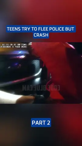 Teens Try To Flee Police But Crash #bodycam
