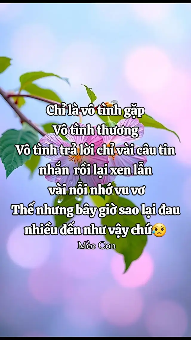 #nơidấunỗibuồn 