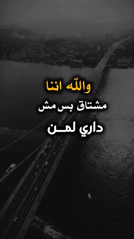 #عبارات  #شبل#يمن#الشمال#عدن يجمال_اليمن ثقافة_يمنية تراث_يمني موسيقى_يمنية شباب_يمني ـــ فخر_يمني يمن_الحب تقاليد_يمنية