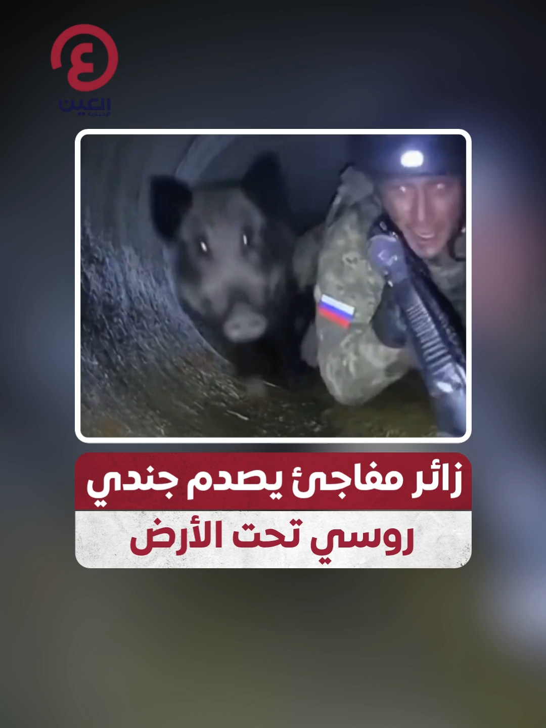 خنزير بري يفاجئ جندي روسي أثناء محاولته التسلل عبر أنابيب تحت الأرض قرب مدينة #كوبيانسك الأوكرانية #عينك_على_العالم
