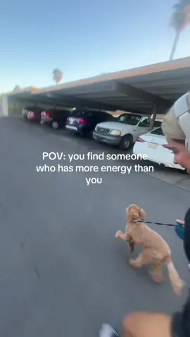 Puppy love