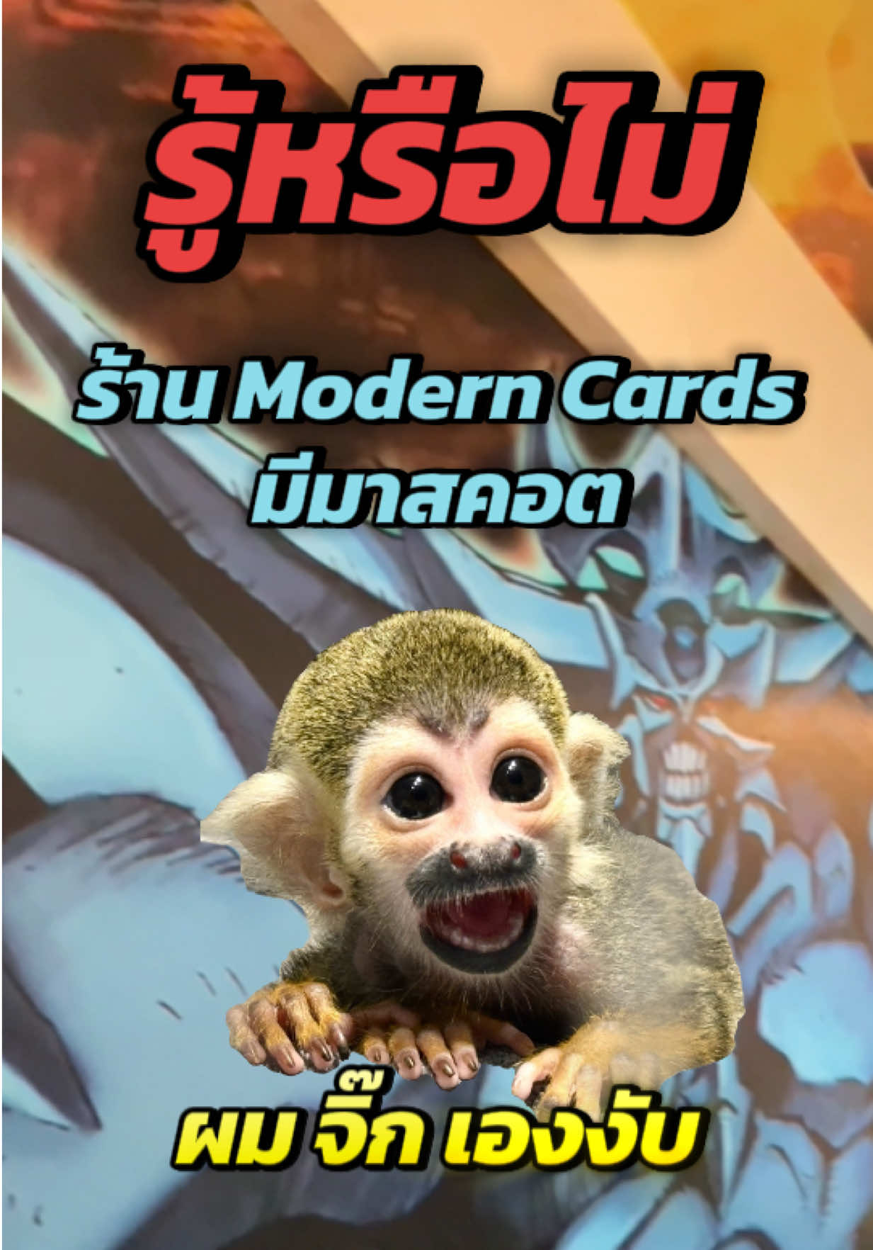 ‼️รู้หรือไม่‼️ 📍ร้าน Modern Cards มี มาสคอต 🐵 #Moderncards #cardgame #การ์ดเกม #yugioh #onepiececardgame 