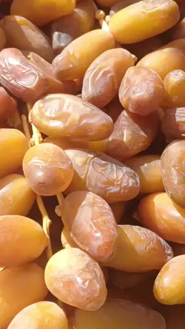 #الشعب_الصيني_ماله_حل😂😂 #تمور_جزائرية🇩🇿🇩🇿🇩🇿 #باتنة_شاوية_05😍😍👌 #دقلةنورالجزائرية🇩🇿 #بسكرة_07🌴🌴  الحمد لله ✅️☝️