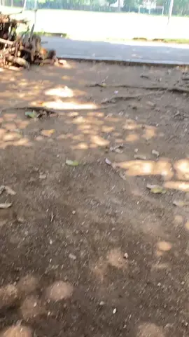 #stm #balito #smkn2tasikmalaya #keras dilarang manja