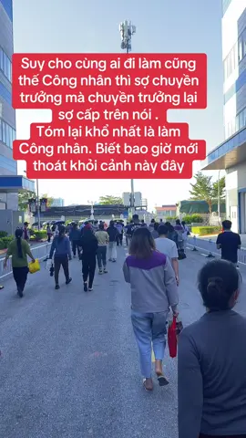 Suy cho cùng ai đi làm cũng thế Công nhân thì sợ chuyền trưởng mà chuyền trưởng lại sợ cấp trên nói . Tóm lại khổ nhất là làm Công nhân. Biết bao giờ mới thoát khỏi cảnh này đây Suy cho cùng ai đi làm cũng thế Công nhân thì sợ chuyền trưởng mà chuyền trưởng lại sợ cấp trên nói . Tóm lại khổ nhất là làm Công nhân. Biết bao giờ mới thoát khỏi cảnh này đây #luxshareictnghean #ngheanquechoa #congnhan #xuhuongtiktok 