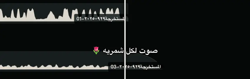 #اكسبلور؟ #fyp #العراق  #شمر 