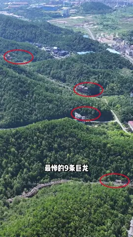 这就是全世界最惨的九条巨龙，盘踞在深山老林二十多年无人问津 #九条龙 #荒废 #航拍