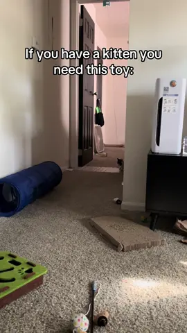 #tiktokshopfalldealsforyou #cattoy #cattoys #catsoftiktok #catenrichment 