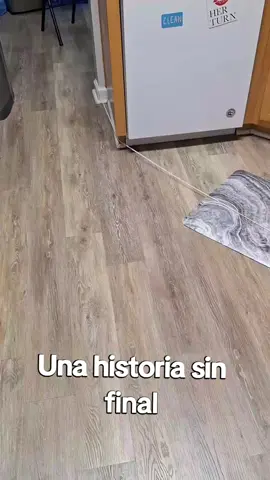 Como mantener a una salchicha entretenida 🐶  #perros #paratiiiiiiiiiiiiiiiiiiiiiiiiiiiiiii #viraltiktok #videosgraciosos 
