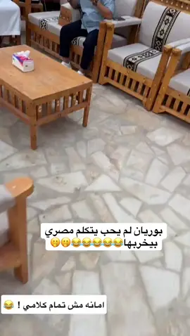 #بوريان🍁 #قروب_بوريان #وليد_باشا #الشعب_الصيني_ماله_حل😂😂 #الشعب_الصيني_ماله_حل😂😂 