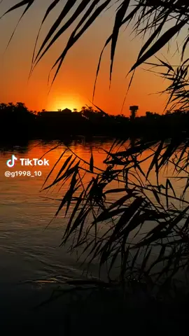 شعر سمير صبيح  #capcut_edit #العراق #الشعب_الصيني_ماله_حل😂😂 #تيم_ملوك_العالم #تيم 