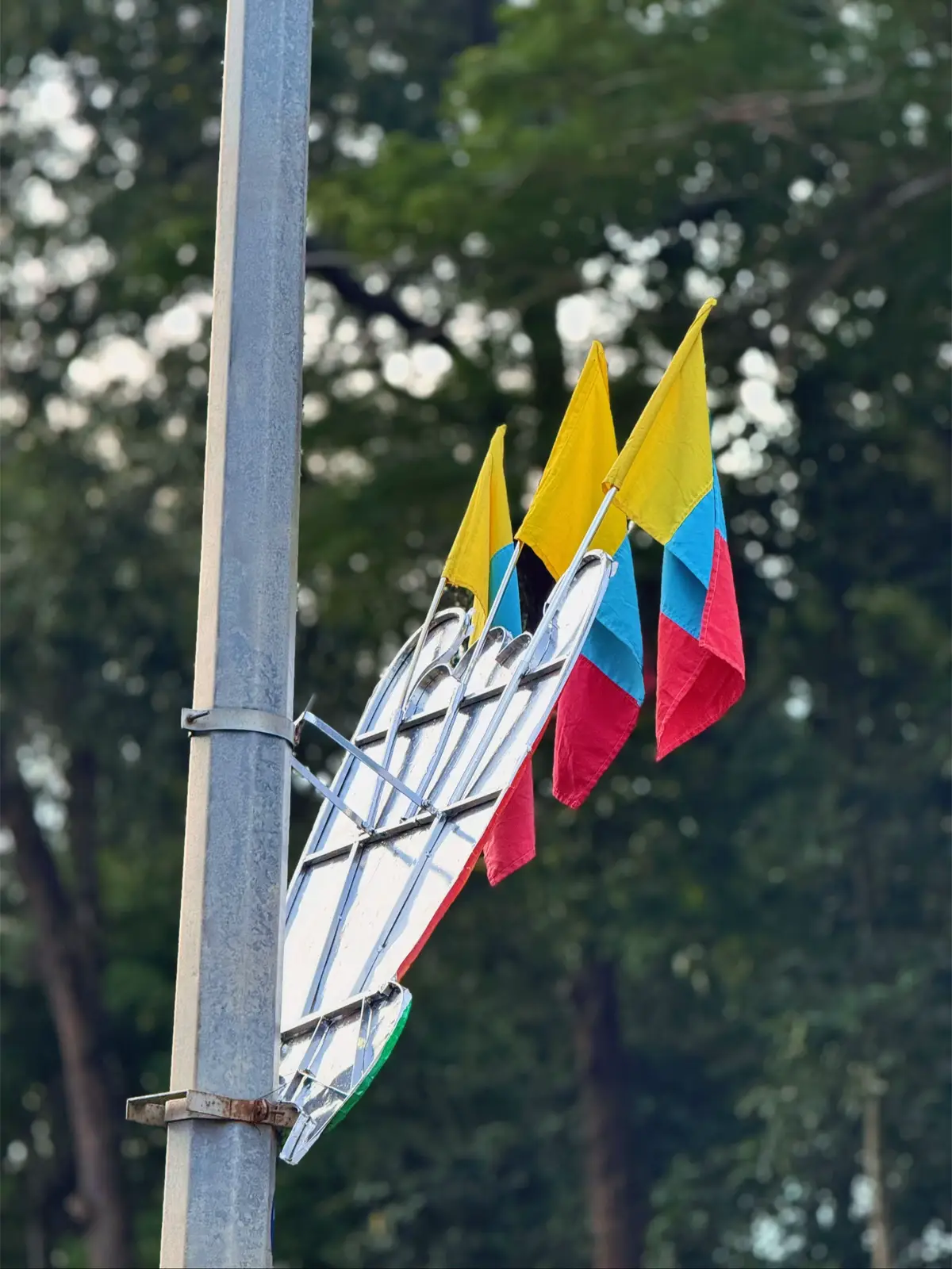 #tayninh #muarongnhang #tayninhquetoi 