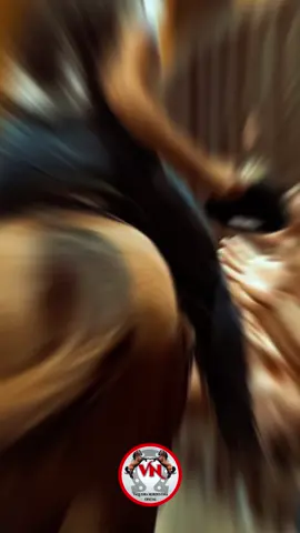 Porque todos querem conhecer essa vaqueira? #vaqueira #vaquejada #x1vaquejada #vaquejadabrasil