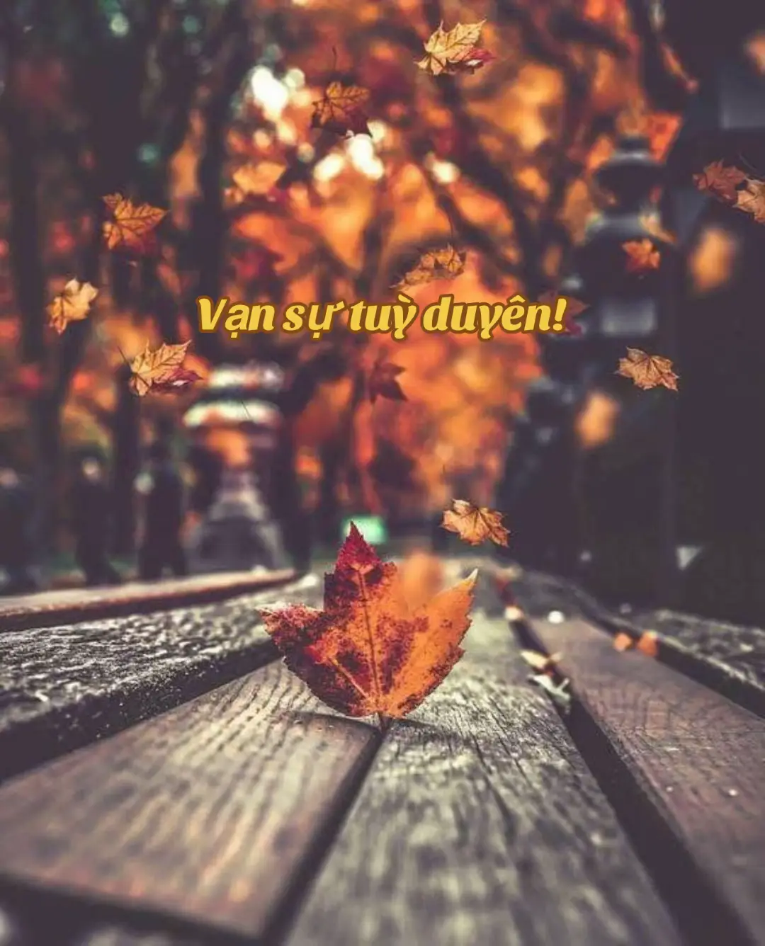 Tình cảm cũng như chiếc lá, lá vàng rồi sẽ phải lìa cành, không ai có thể níu giữ được một chiếc lá vàng. Người ta thường nói thời gian làm thay đổi tất cả, nhưng có lẽ thời gian không làm thay đổi điều gì, nó chỉ vô tình chứng kiến sự thay đổi trong tâm tư, trong suy nghĩ, trong cảm xúc của ai đó mà thôi. Cũng không nên quá cưỡng cầu, bởi ta không thể cố gắng để ép bản thân phải yêu một ai đó, cứ thuận theo tự nhiên, điều gì đến ắt sẽ phải đến, điều gì đi ắt sẽ tự rời đi… Kệ.....#captiontamtrang #sadstory #xhtiktok #tamtrang #cuocsong #cap #sttbuontamtrang 