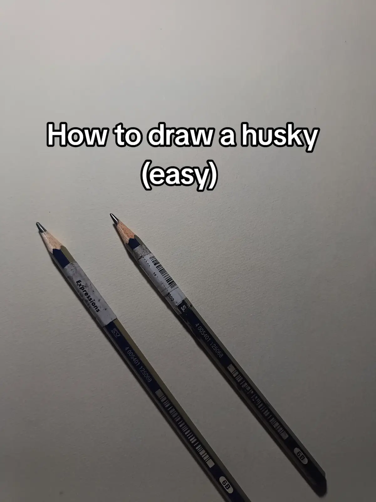 Writing a long description can help get you 3x views on average prolly. #husky #fyp #fy #foryoupage #scary 