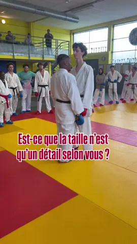 #karate #pourtoi #fighter #kick #viralvideo 