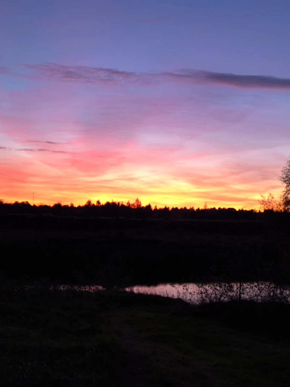 я очень устал #fyp #on #рек 