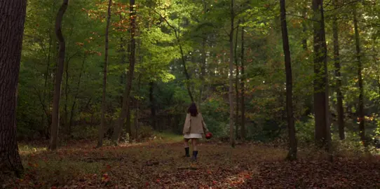 i feel it so deeply in my bones 🍎🍁🧺 #filmtok #cinematography #autumn #fall #foryou 
