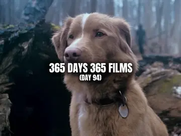 The dog is a paid actor🔥 #movies #goodboy #horror #horrormoviesuggestions #horrormovies 