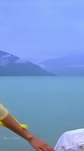 #creatorsearchinsights 