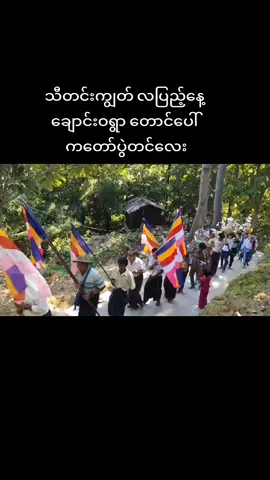 ကတော့ပွဲတင်လေး🥰